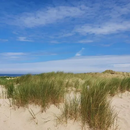 Callassande - 34